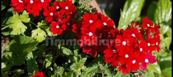 2 Schlafzimmer Villa in Sassello, Italy, Nr. 351182 50