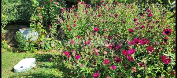 2 غرف نوم فيلا في Sassello, Italy رقم 351182 13