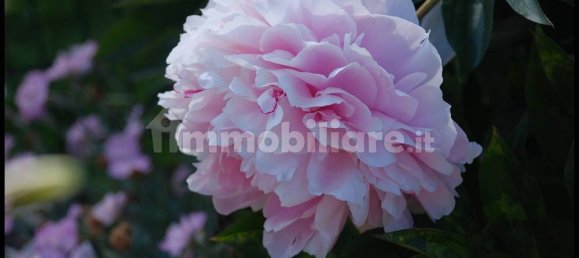 2 غرف نوم فيلا في Sassello, Italy رقم 351182 45