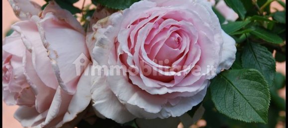 2 غرف نوم فيلا في Sassello, Italy رقم 351182 46