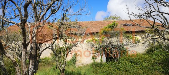 7 bedrooms Castles in Vila Nova de Gaia, Portugal No. 50991 22