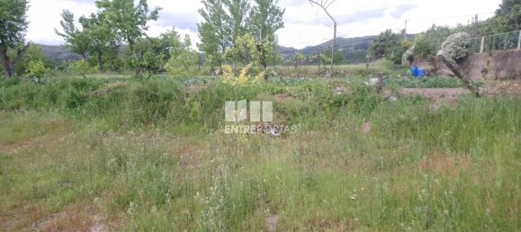 17960m² Land in Soalhaes, Portugal No. 57448 2