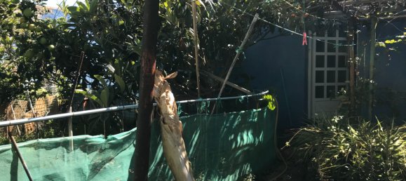 Casa de 2 dormitorios en Telde, Spain No. 165492 17