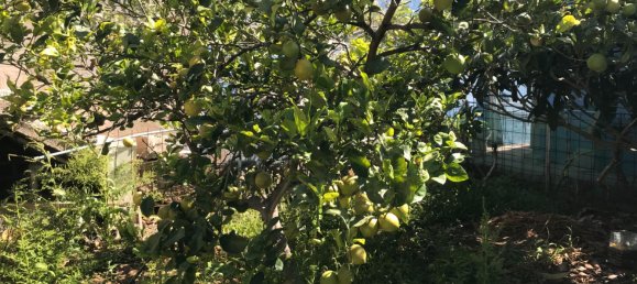 Casa de 2 dormitorios en Telde, Spain No. 165492 18