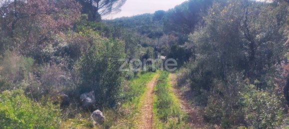 Terreno em Ansião, Portugal 1380 m² N.º 86069 15