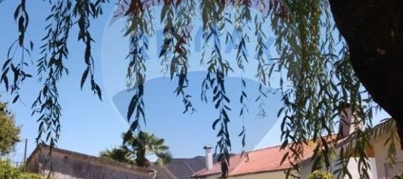 6 Schlafzimmer Haus in Vila Pouca de Aguiar, Portugal, Nr. 169431 14