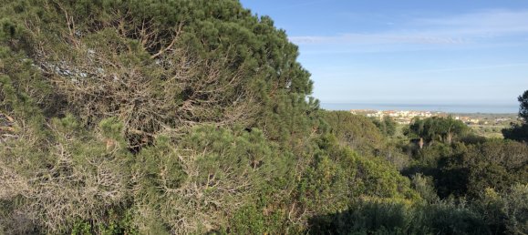 Terreno en Cádiz, Spain No. 138163 3