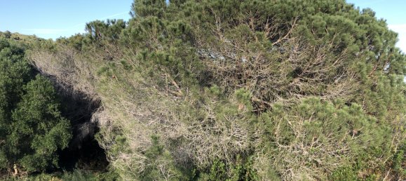 Terreno en Cádiz, Spain No. 138163 4