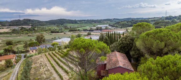 5 Schlafzimmer Haus in Fauglia, Italy, Nr. 297158 4