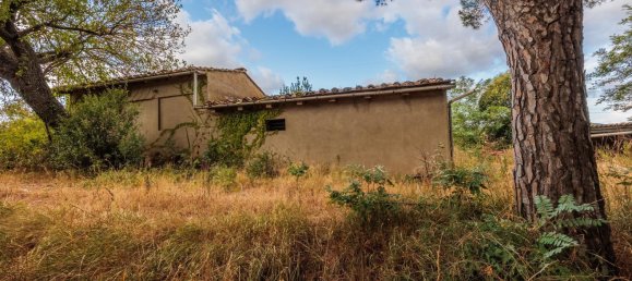 5 Schlafzimmer Haus in Fauglia, Italy, Nr. 297158 24