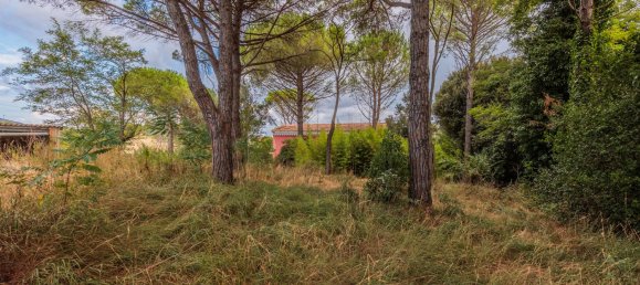 5 Schlafzimmer Haus in Fauglia, Italy, Nr. 297158 25