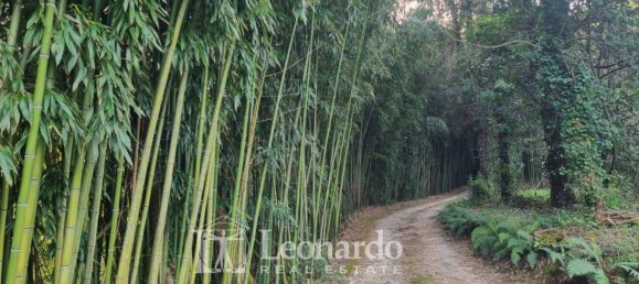 3 bedrooms Villa in Camaiore, Italy No. 45490 35