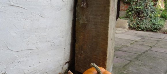 4 bedrooms House in Hameln-Pyrmont, Germany No. 217933 5