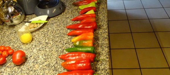 4 bedrooms House in Hameln-Pyrmont, Germany No. 217933 24