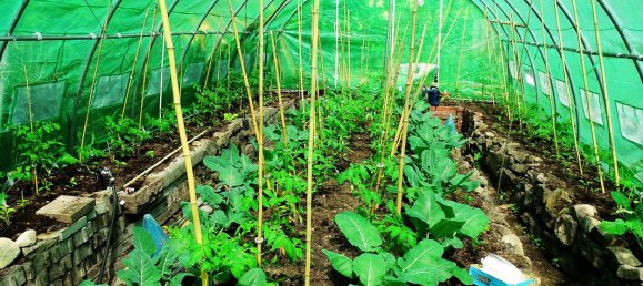 4 bedrooms House in Hameln-Pyrmont, Germany No. 217933 22