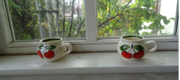 4 bedrooms House in Hameln-Pyrmont, Germany No. 217933 17