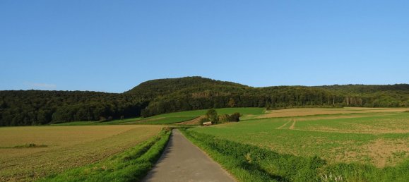 4 bedrooms House in Hameln-Pyrmont, Germany No. 217933 23