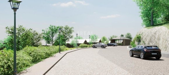 10000m² Land in Calheta, Portugal No. 111364 6