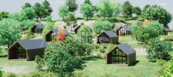 10000m² Land in Calheta, Portugal No. 111364 3