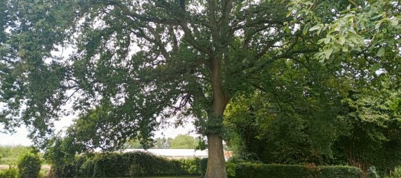 Дом с 3 спальнями в Берне-ан-Понтьё, Франция № 239363 14