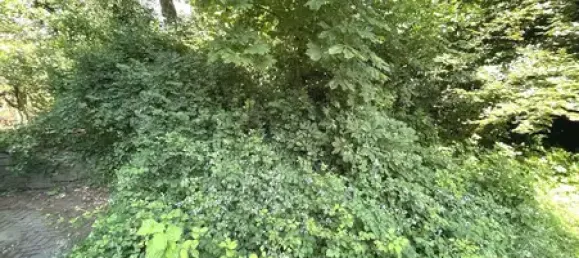 2-Zimmer Gebäude in Ennepe-Ruhr, Germany, Nr. 364698 14