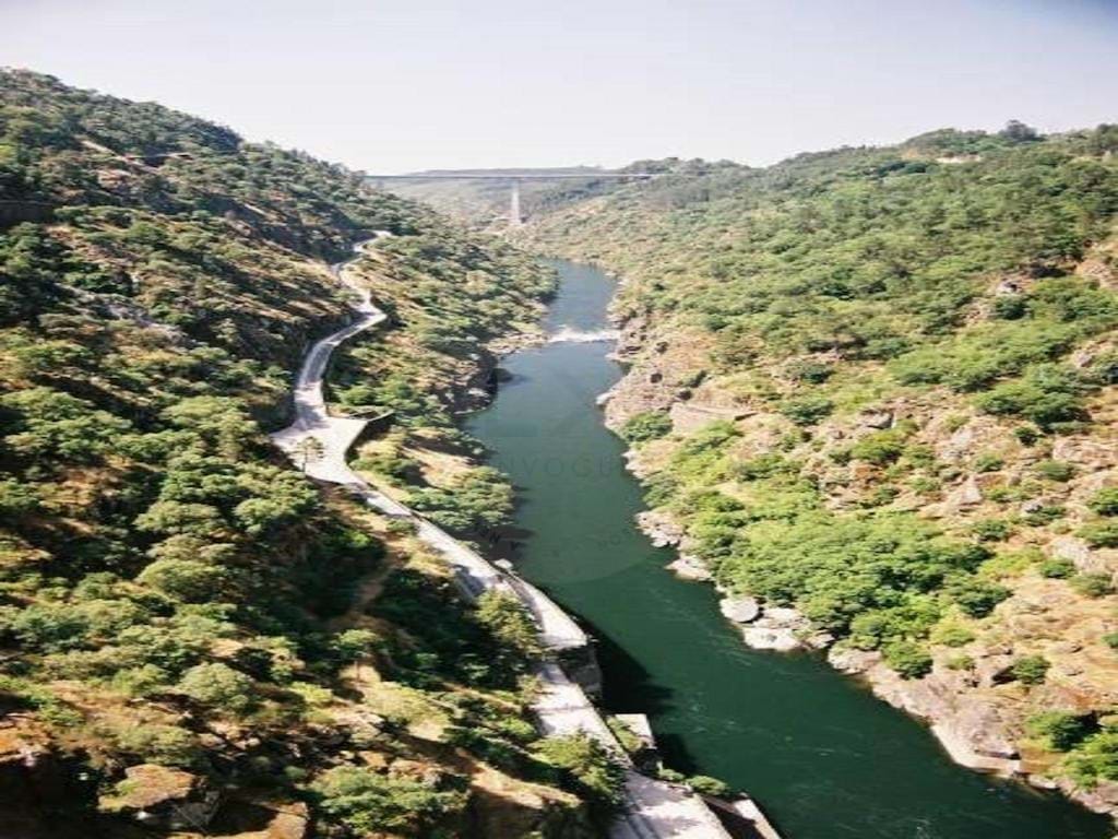 7 chambres Châteaux à Serta, Portugal No. 276557