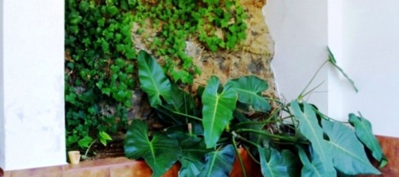 Grundstück in Mijas, Spain 520m², Nr. 75220 36