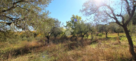 Casa de 6 divisões em Castel di Lama, Italy N.º 125361 19