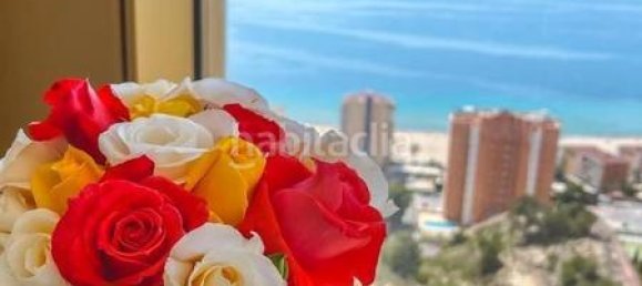 2 bedrooms Apartment in Benidorm, Spain No. 88167 7
