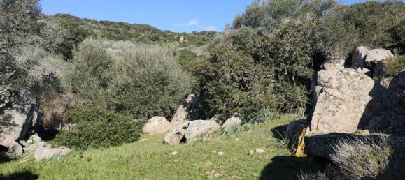 3-salle Maison à Santa Teresa Gallura, Italy No. 174289 4