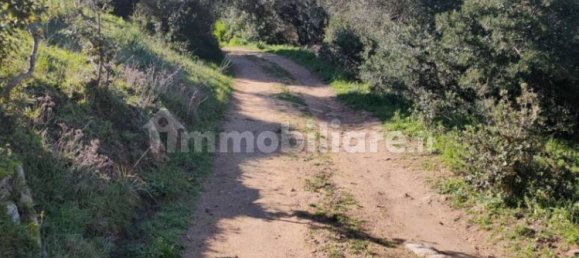 3-salle Maison à Santa Teresa Gallura, Italy No. 174289 3