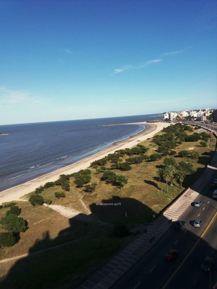 3 chambres Appartement à Montevideo, Uruguay No. 1967