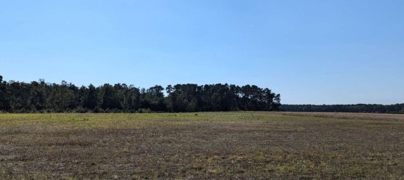 Terreno en Oberhavel, Germany No. 95562 13