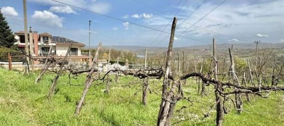 Grundstück in Manocalzati, Italy 10000m², Nr. 13219 21