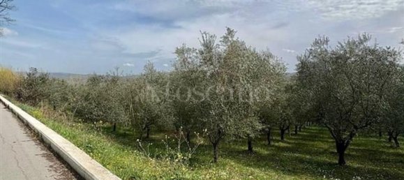 Grundstück in Manocalzati, Italy 10000m², Nr. 13219 9