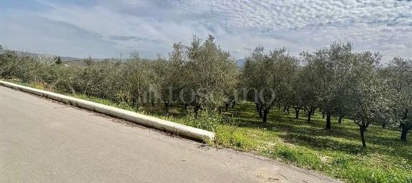 Grundstück in Manocalzati, Italy 10000m², Nr. 13219 3