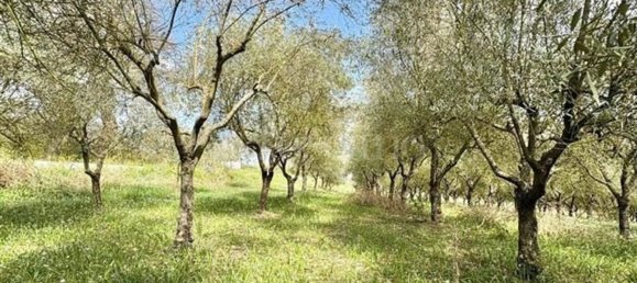 Grundstück in Manocalzati, Italy 10000m², Nr. 13219 8