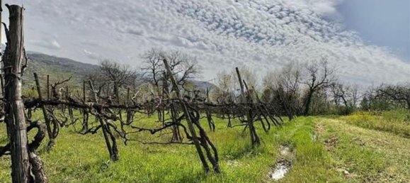 Grundstück in Manocalzati, Italy 10000m², Nr. 13219 20