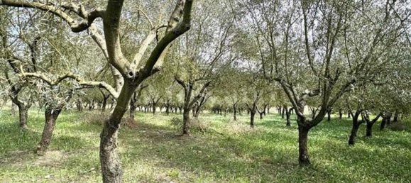 Grundstück in Manocalzati, Italy 10000m², Nr. 13219 7