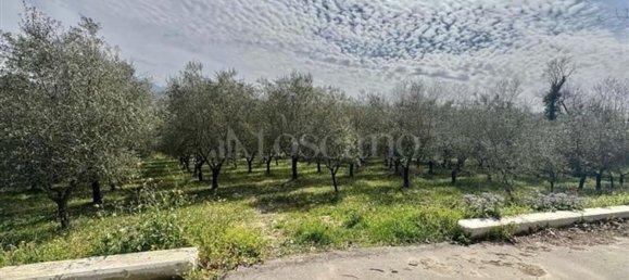 Grundstück in Manocalzati, Italy 10000m², Nr. 13219 2