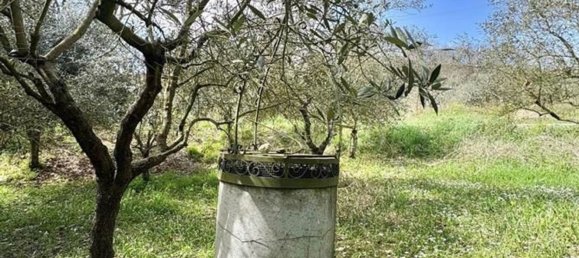 Grundstück in Manocalzati, Italy 10000m², Nr. 13219 11