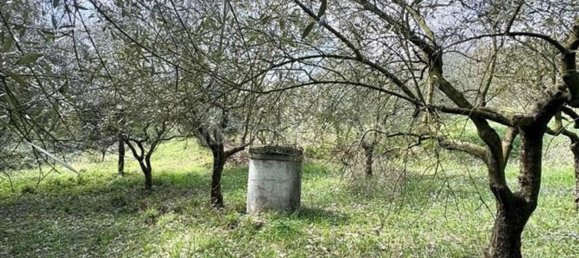 Grundstück in Manocalzati, Italy 10000m², Nr. 13219 6