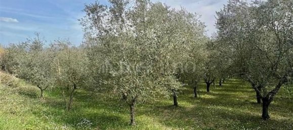 Grundstück in Manocalzati, Italy 10000m², Nr. 13219 10