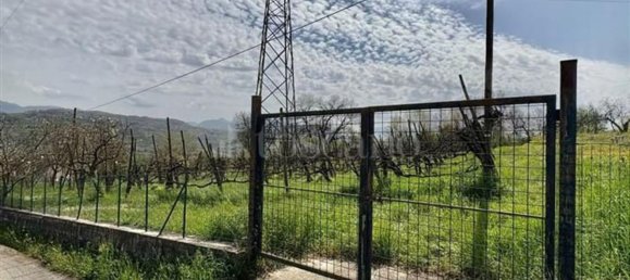 Grundstück in Manocalzati, Italy 10000m², Nr. 13219 22