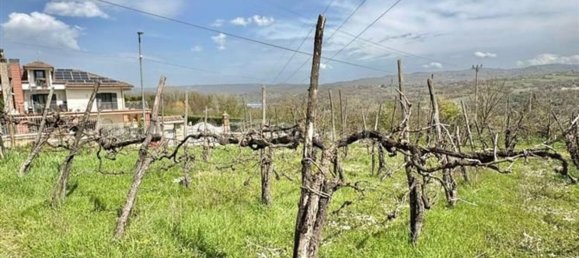 Grundstück in Manocalzati, Italy 10000m², Nr. 13219 13