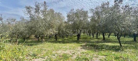 Grundstück in Manocalzati, Italy 10000m², Nr. 13219 5