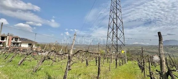 Grundstück in Manocalzati, Italy 10000m², Nr. 13219 14