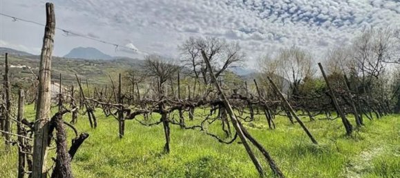 Grundstück in Manocalzati, Italy 10000m², Nr. 13219 16