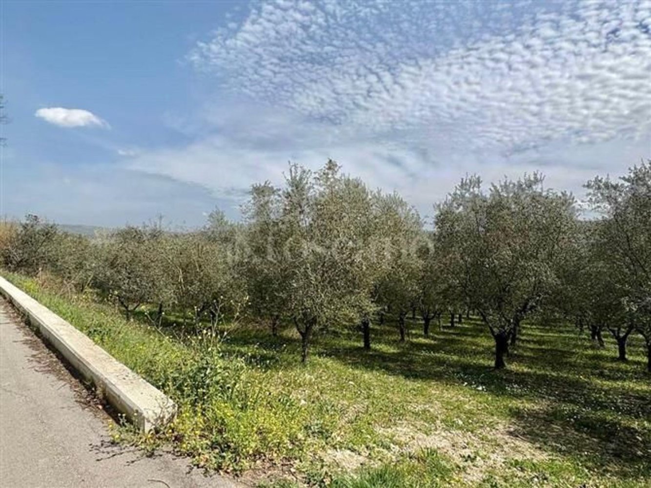 Grundstück in Manocalzati, Italy 10000m², Nr. 13219