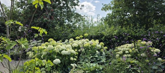 7غرفة منزل في Schaumburg, Germany رقم 267802 11